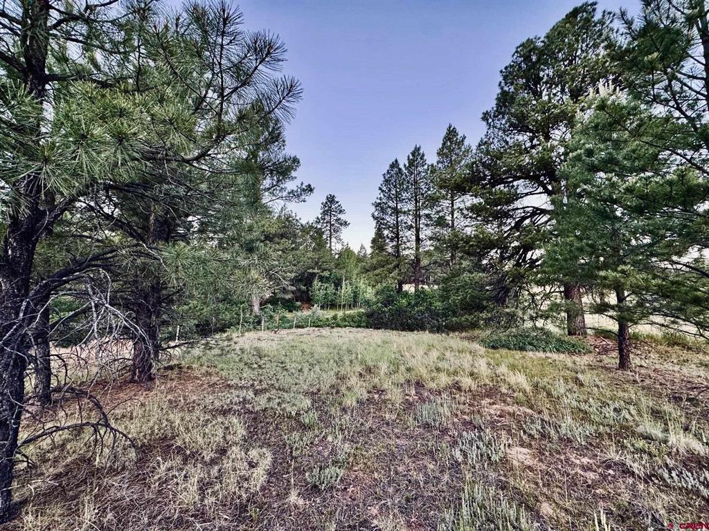 Pagosa Springs CO, 3898 Pagosa Boulevard