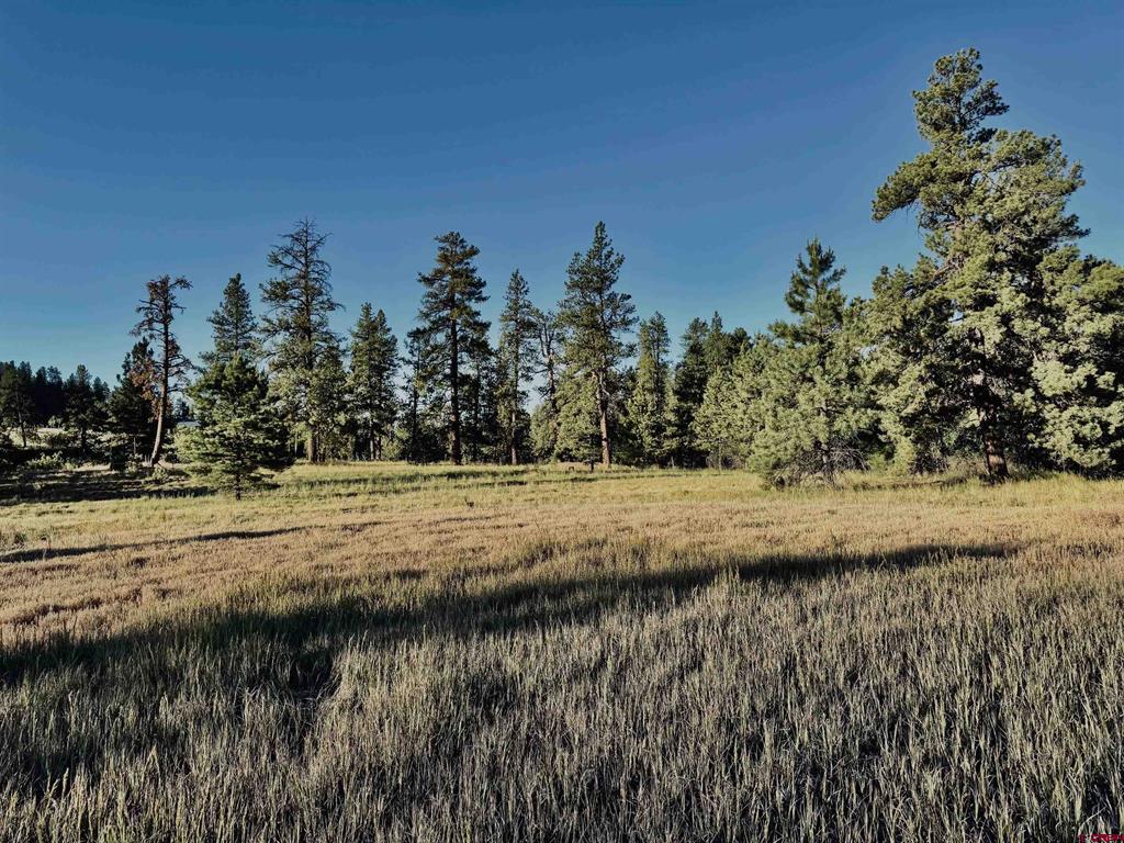 3898 N Pagosa Boulevard Pagosa Springs CO 81147