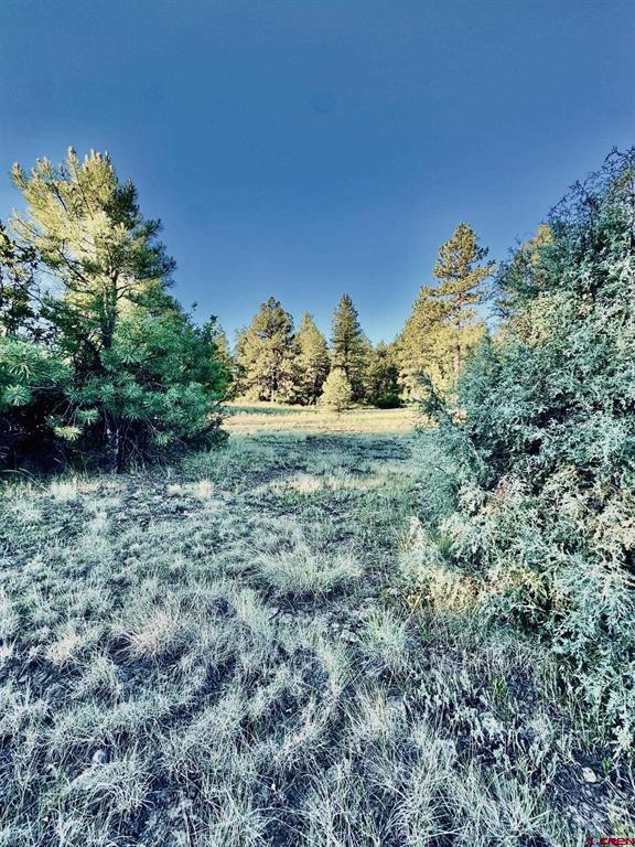 3898 N Pagosa Boulevard Pagosa Springs CO 81147