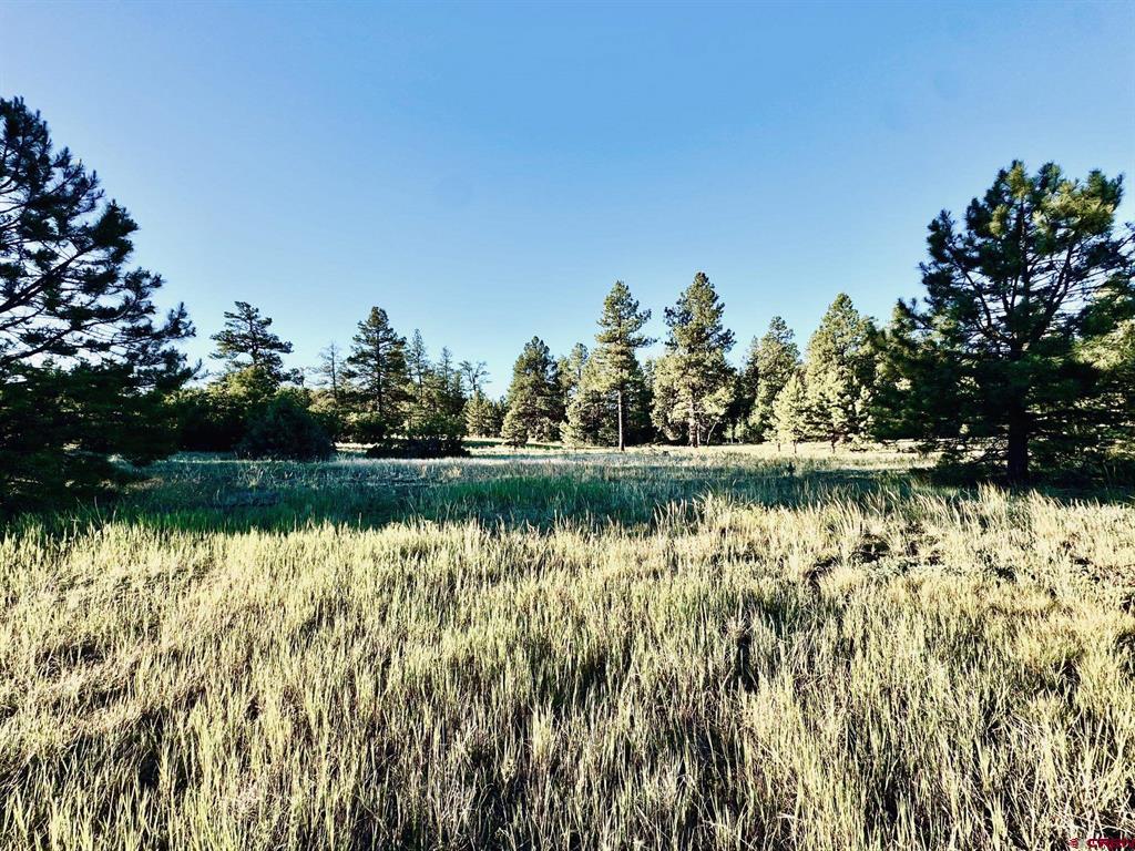 3898 N Pagosa Boulevard Pagosa Springs CO 81147