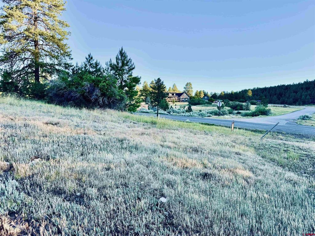 3898 N Pagosa Boulevard Pagosa Springs CO 81147