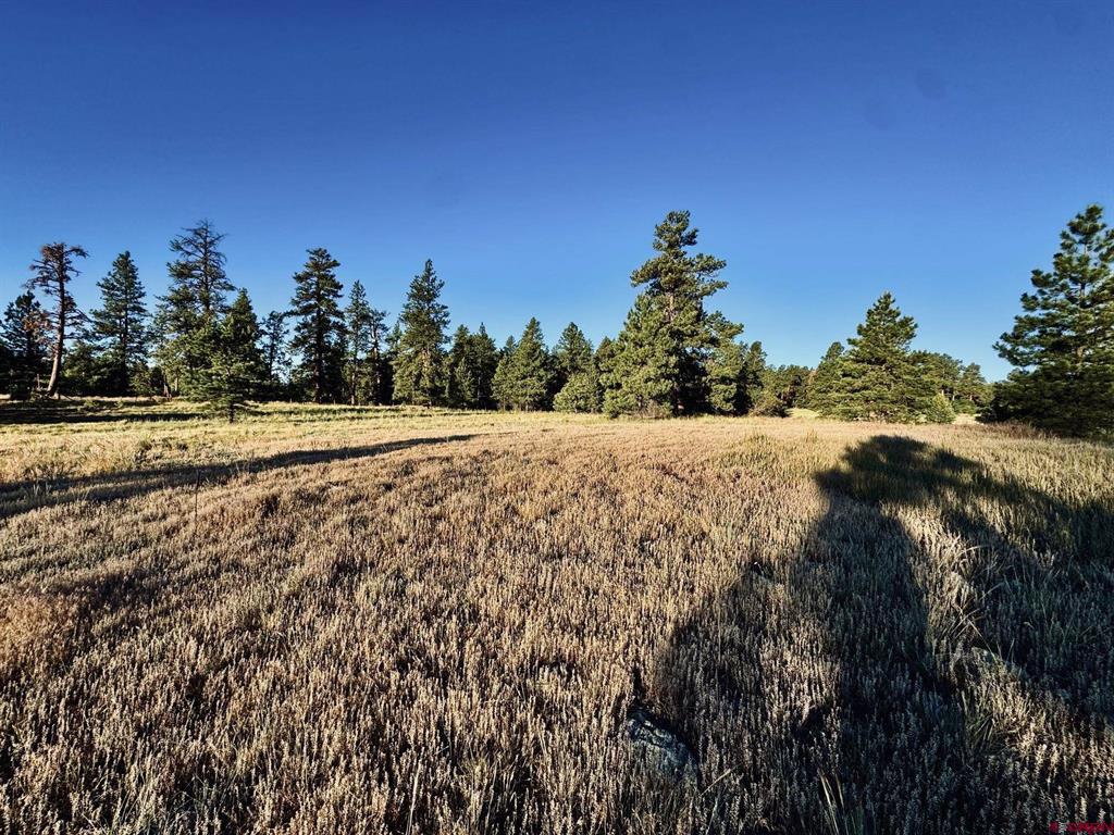 3898 N Pagosa Boulevard Pagosa Springs CO 81147