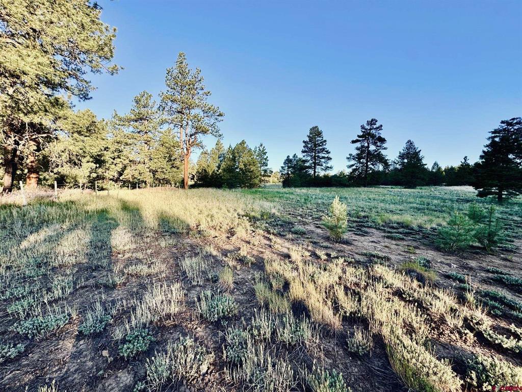 3898 N Pagosa Boulevard Pagosa Springs CO 81147