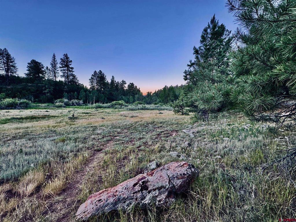 3898 N Pagosa Boulevard Pagosa Springs CO 81147