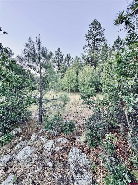 3898 N Pagosa Boulevard Pagosa Springs CO 81147