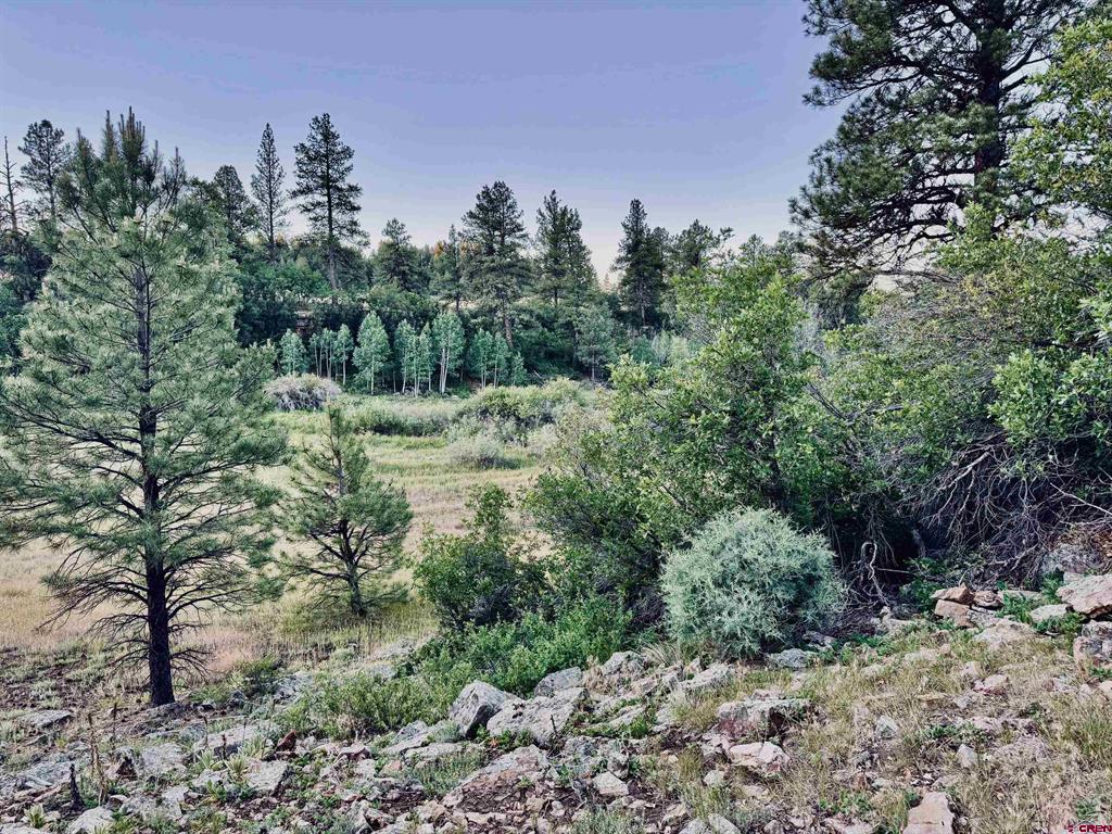 3898 N Pagosa Boulevard Pagosa Springs CO 81147