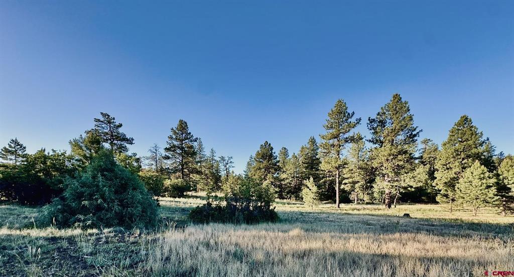 3898 N Pagosa Boulevard Pagosa Springs CO 81147