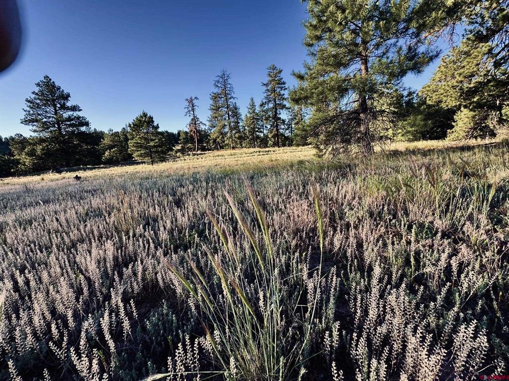 3898 N Pagosa Boulevard Pagosa Springs CO 81147