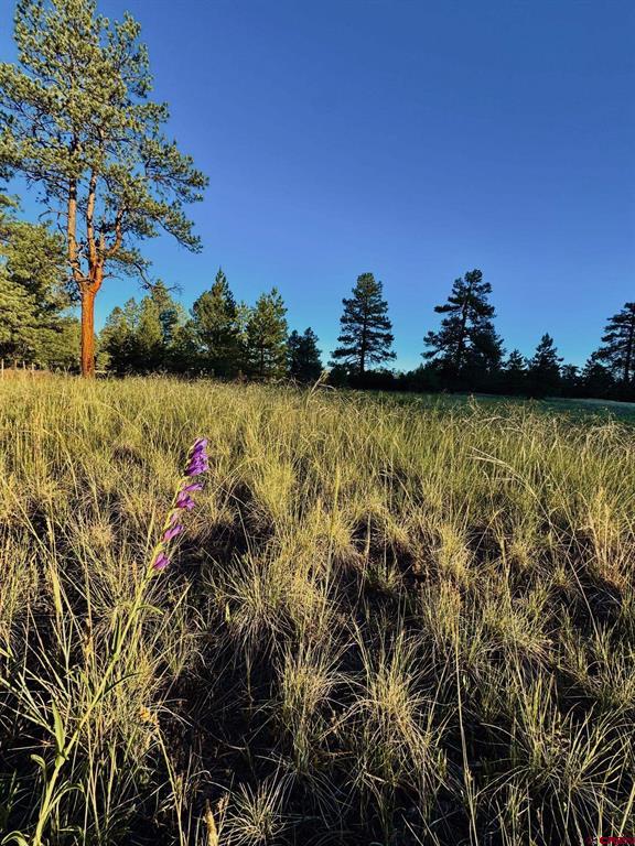 3898 N Pagosa Boulevard Pagosa Springs CO 81147