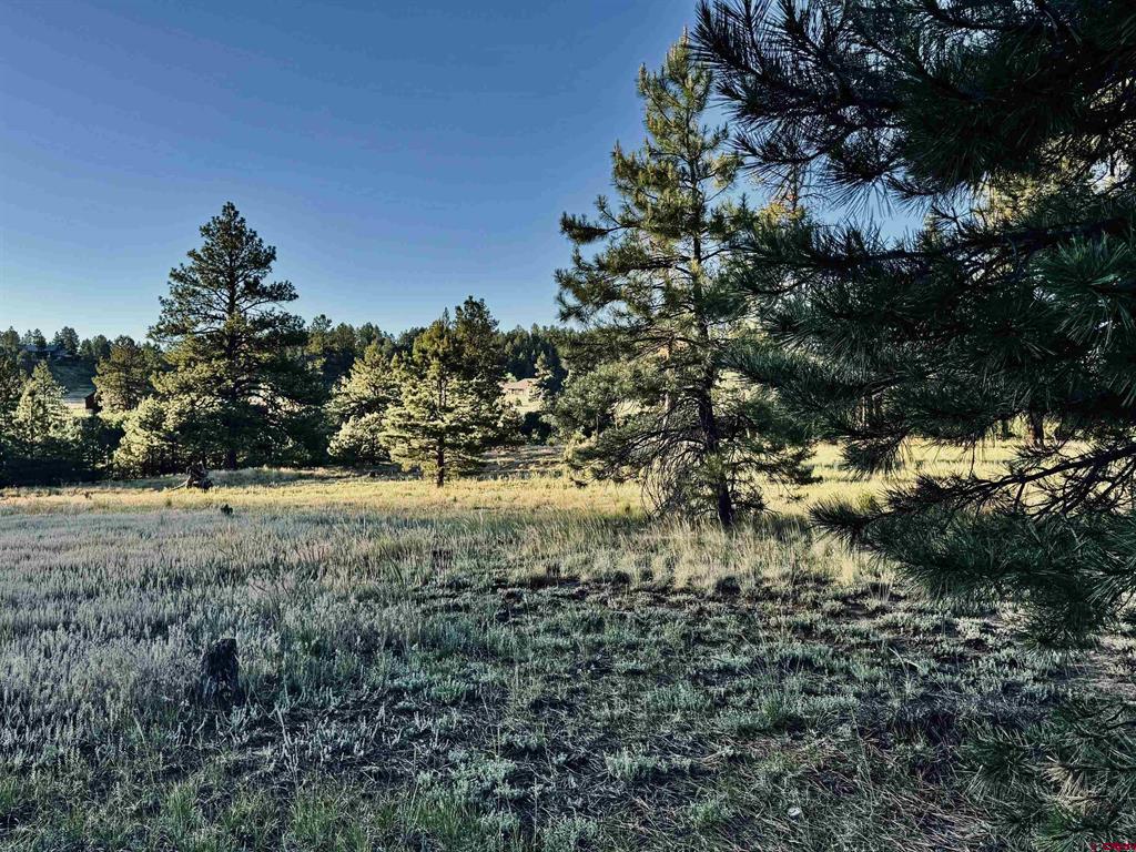 3898 N Pagosa Boulevard Pagosa Springs CO 81147
