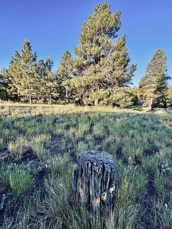 3898 N Pagosa Boulevard Pagosa Springs CO 81147