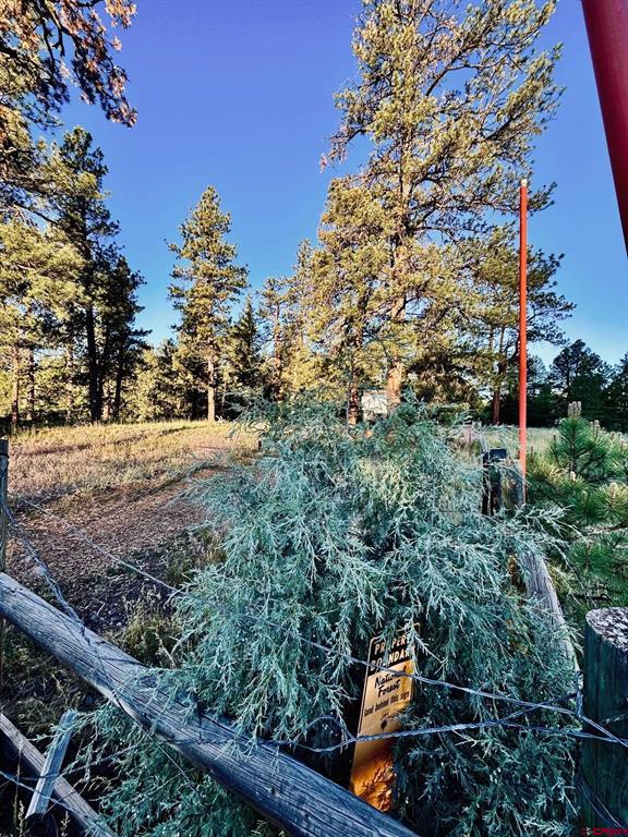 3898 N Pagosa Boulevard Pagosa Springs CO 81147