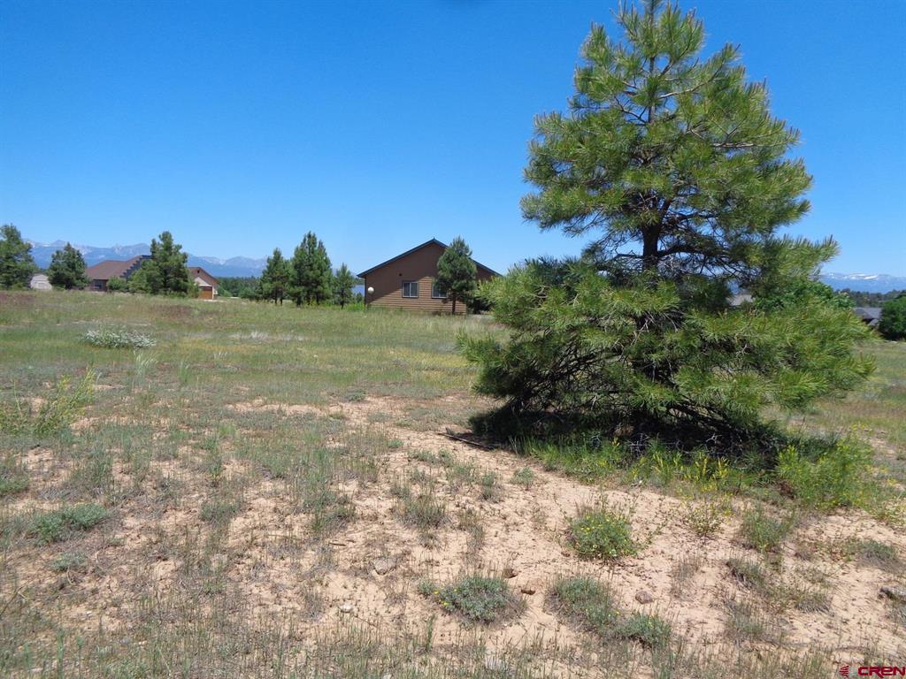 Pagosa Springs CO, 153 Greenway