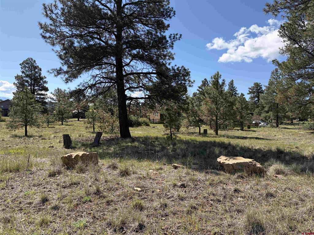 1052 Trails Boulevard Pagosa Springs CO 81147
