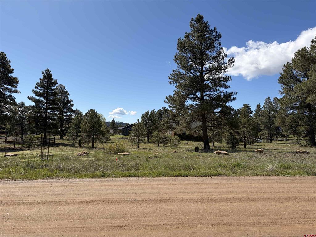 1052 Trails Boulevard Pagosa Springs CO 81147