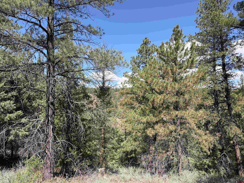 1052 Trails Boulevard Pagosa Springs CO 81147