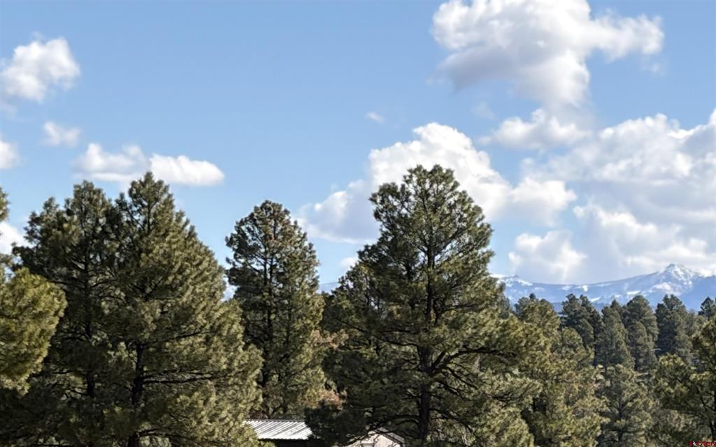 1052 Trails Boulevard Pagosa Springs CO 81147