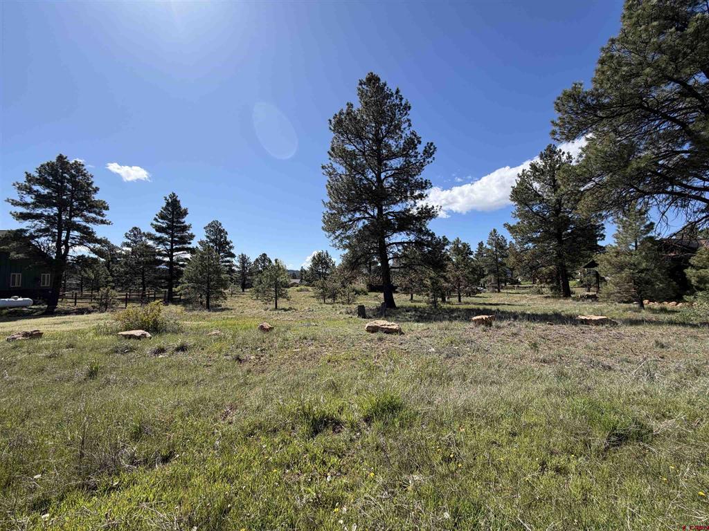 1052 Trails Boulevard Pagosa Springs CO 81147