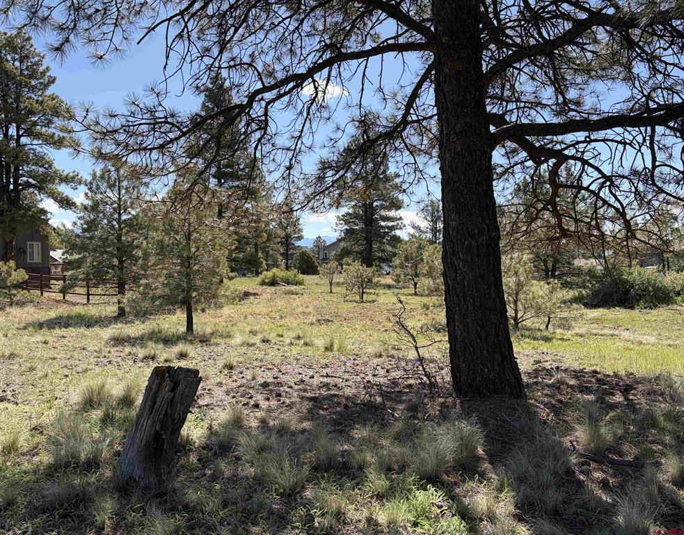 1052 Trails Boulevard Pagosa Springs CO 81147