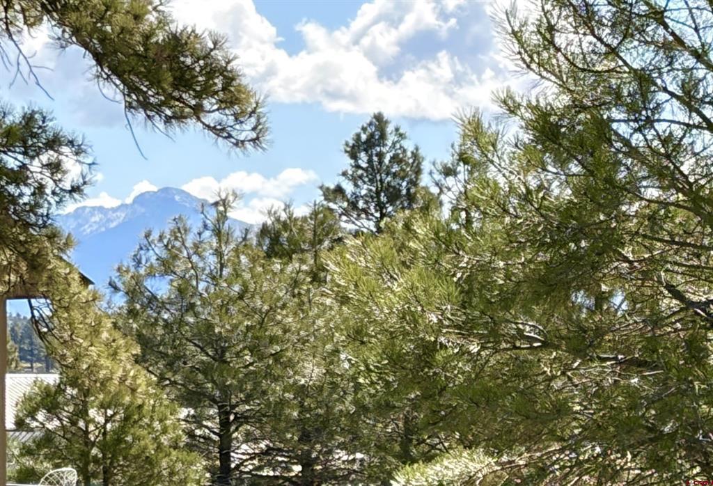 1052 Trails Boulevard Pagosa Springs CO 81147