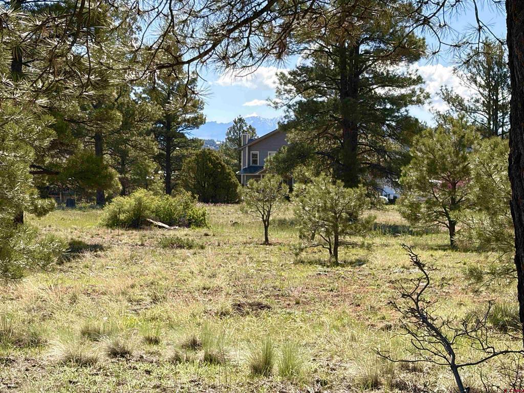 1052 Trails Boulevard Pagosa Springs CO 81147