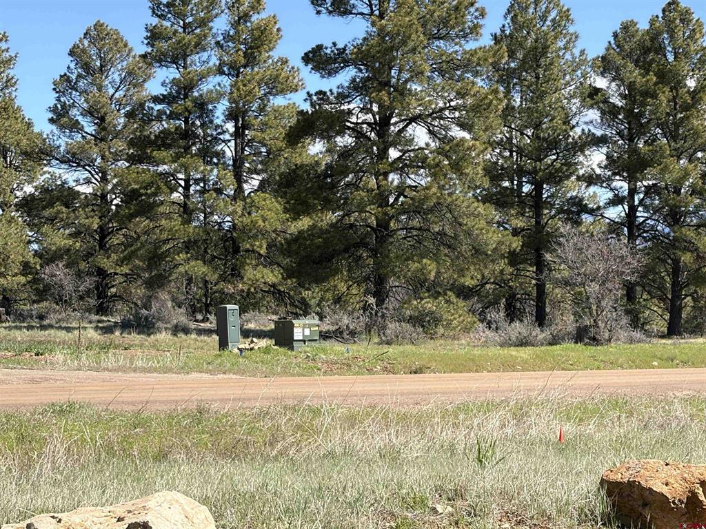 1052 Trails Boulevard Pagosa Springs CO 81147