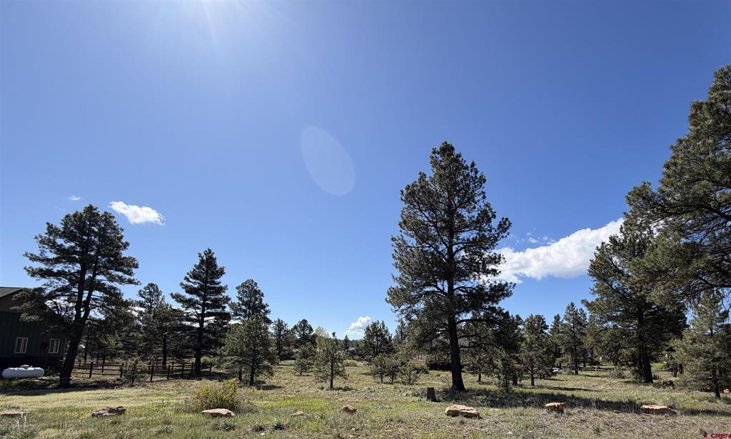 1052 Trails Boulevard Pagosa Springs CO 81147