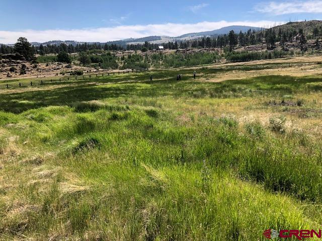 1875 Willow Park Drive South Fork CO 81154