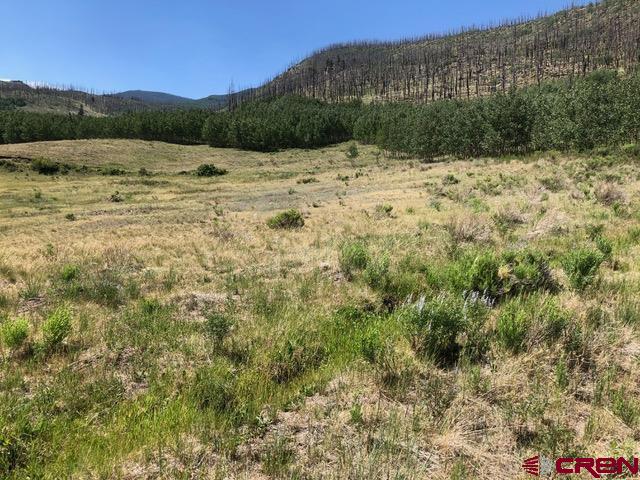 1875 Willow Park Drive South Fork CO 81154