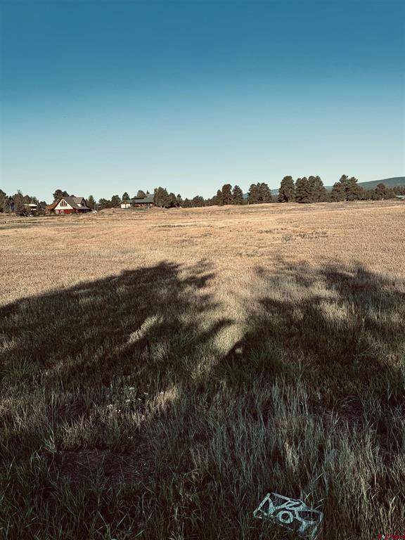 31 Capstone Circle Pagosa Springs CO 81147
