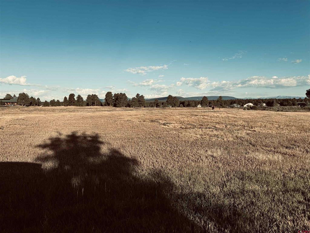 31 Capstone Circle Pagosa Springs CO 81147