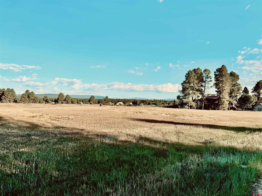 31 Capstone Circle Pagosa Springs CO 81147