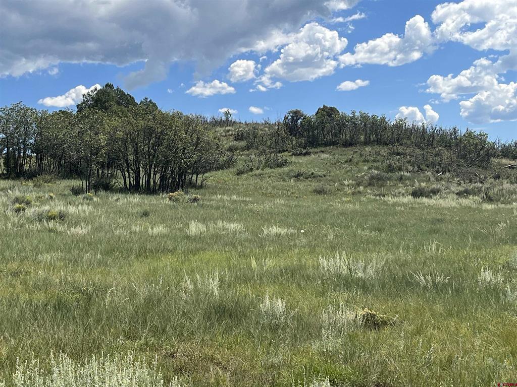 1174 W Arbol Park Drive Chromo CO 81147