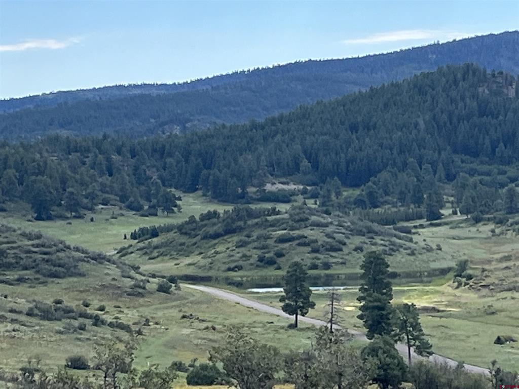1174 W Arbol Park Drive Chromo CO 81147