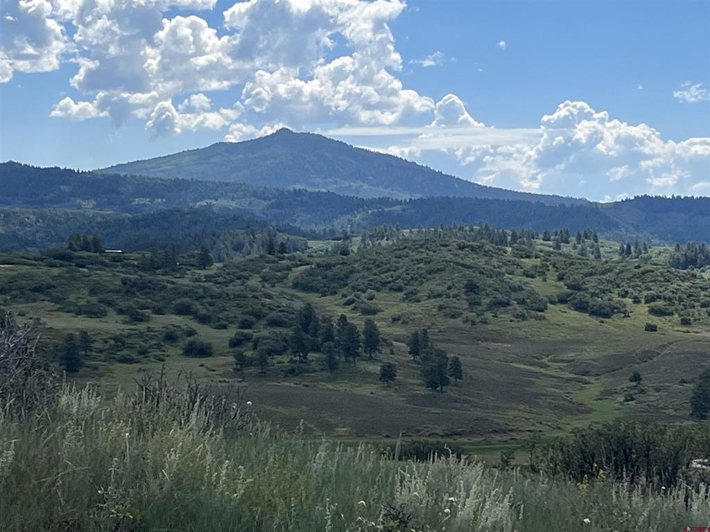 1174 W Arbol Park Drive Chromo CO 81147