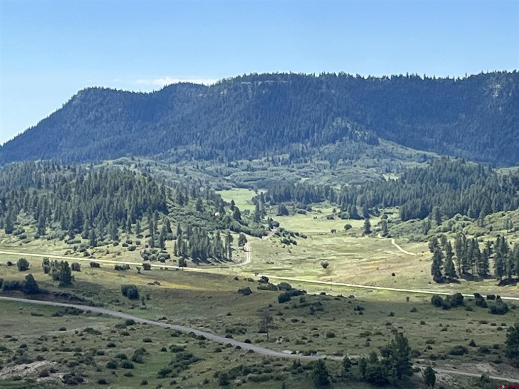 1174 W Arbol Park Drive Chromo CO 81147