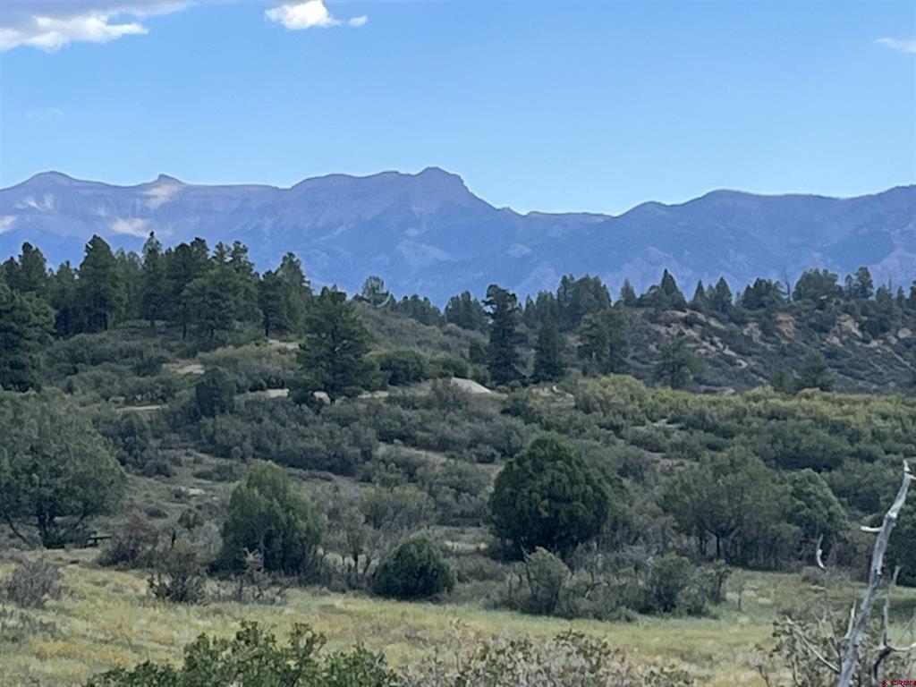 1174 W Arbol Park Drive Chromo CO 81147