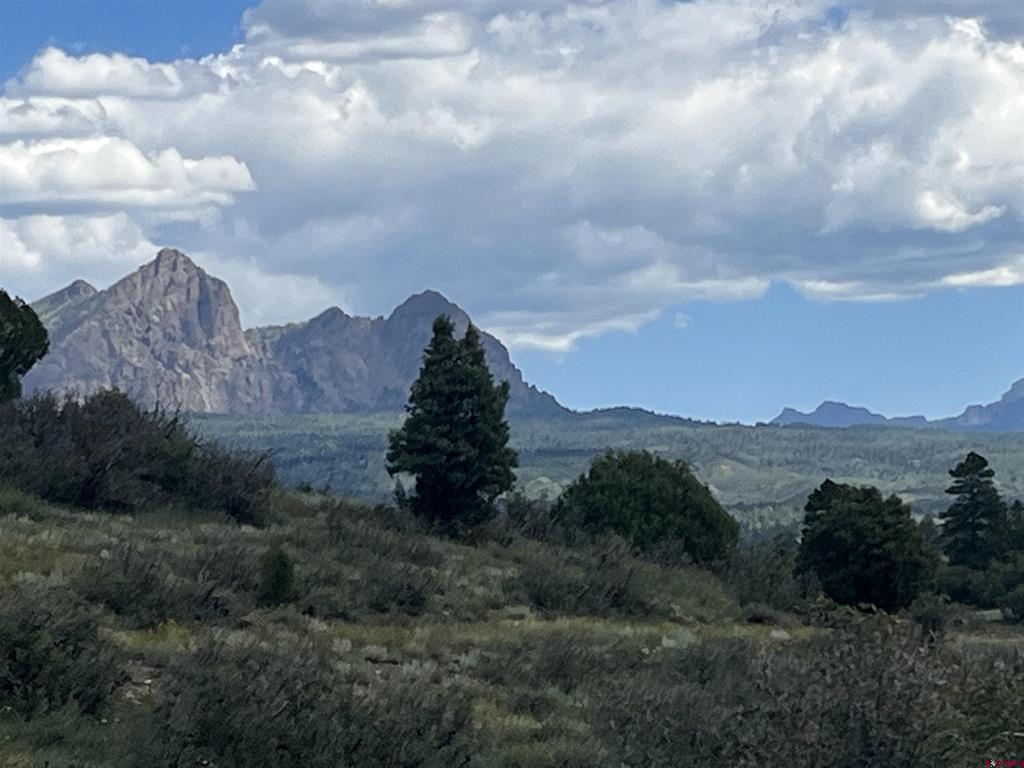 1174 W Arbol Park Drive Chromo CO 81147