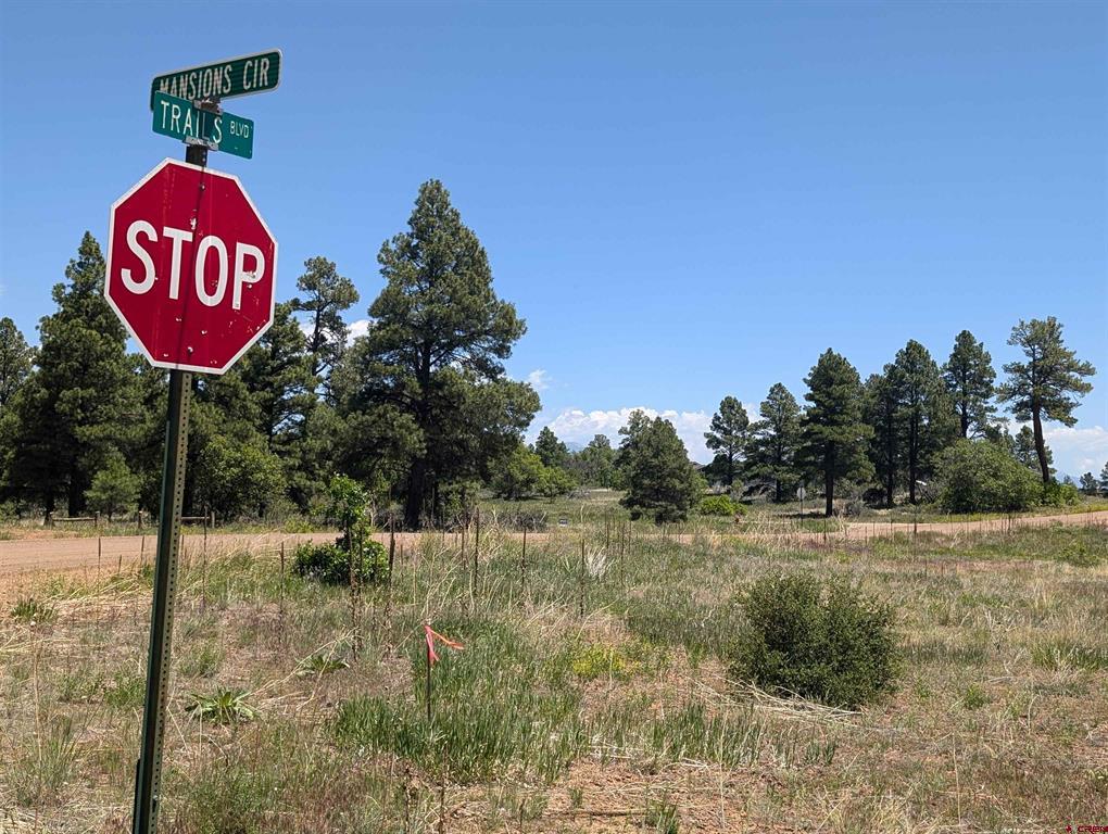 Pagosa Springs CO, 16 Mansions