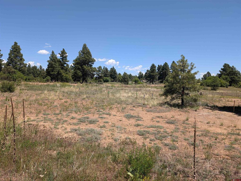 16 Mansions Circle Pagosa Springs CO 81147