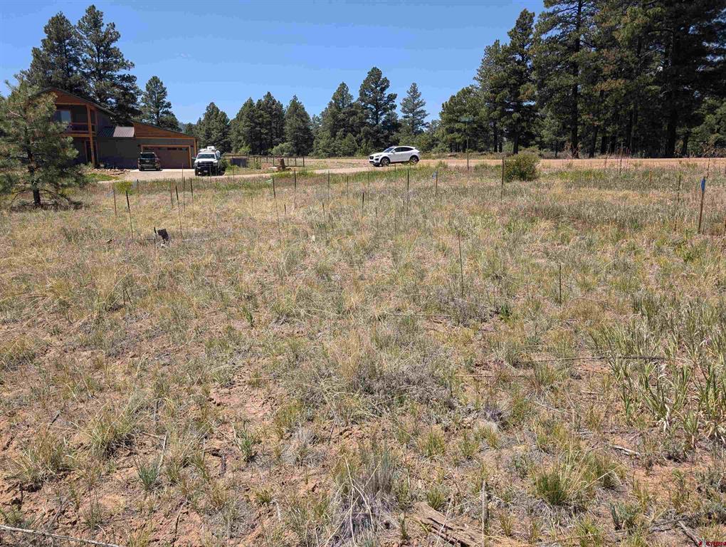 16 Mansions Circle Pagosa Springs CO 81147