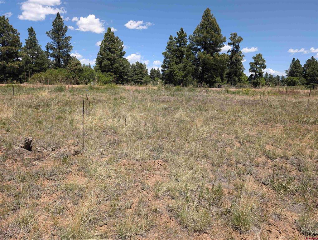 16 Mansions Circle Pagosa Springs CO 81147
