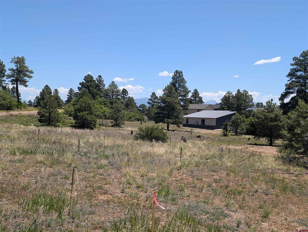 16 Mansions Circle Pagosa Springs CO 81147
