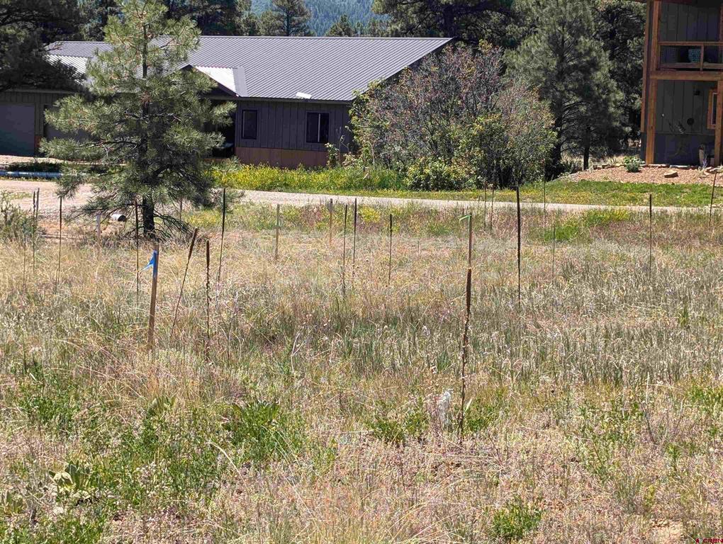 16 Mansions Circle Pagosa Springs CO 81147
