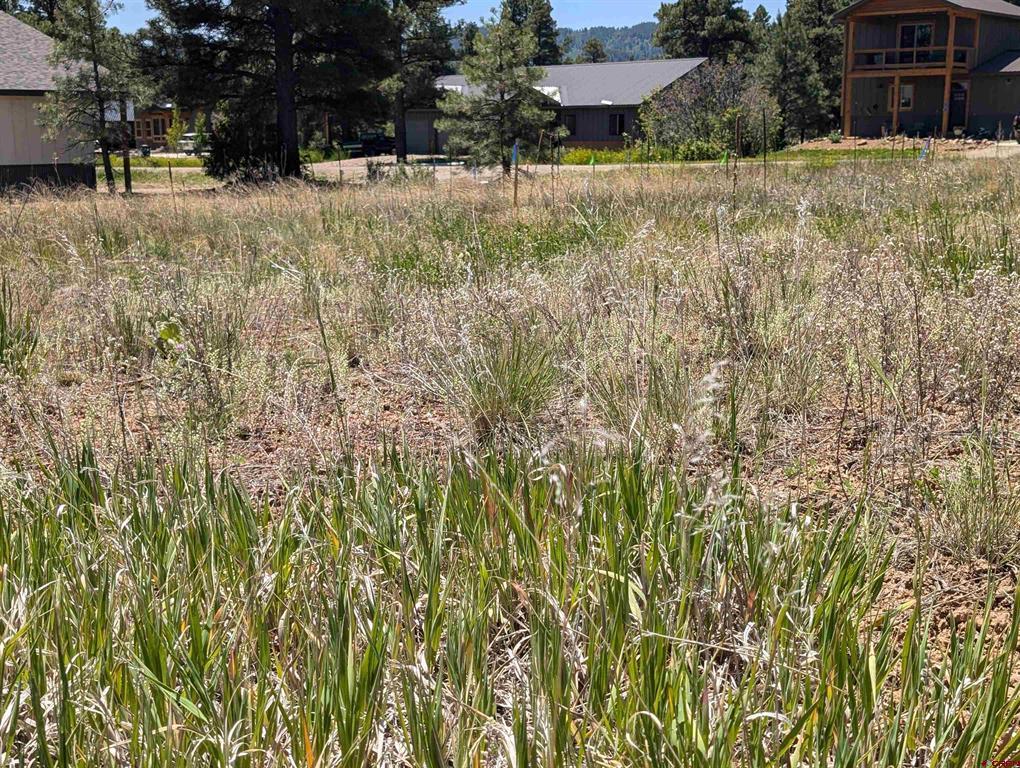 16 Mansions Circle Pagosa Springs CO 81147