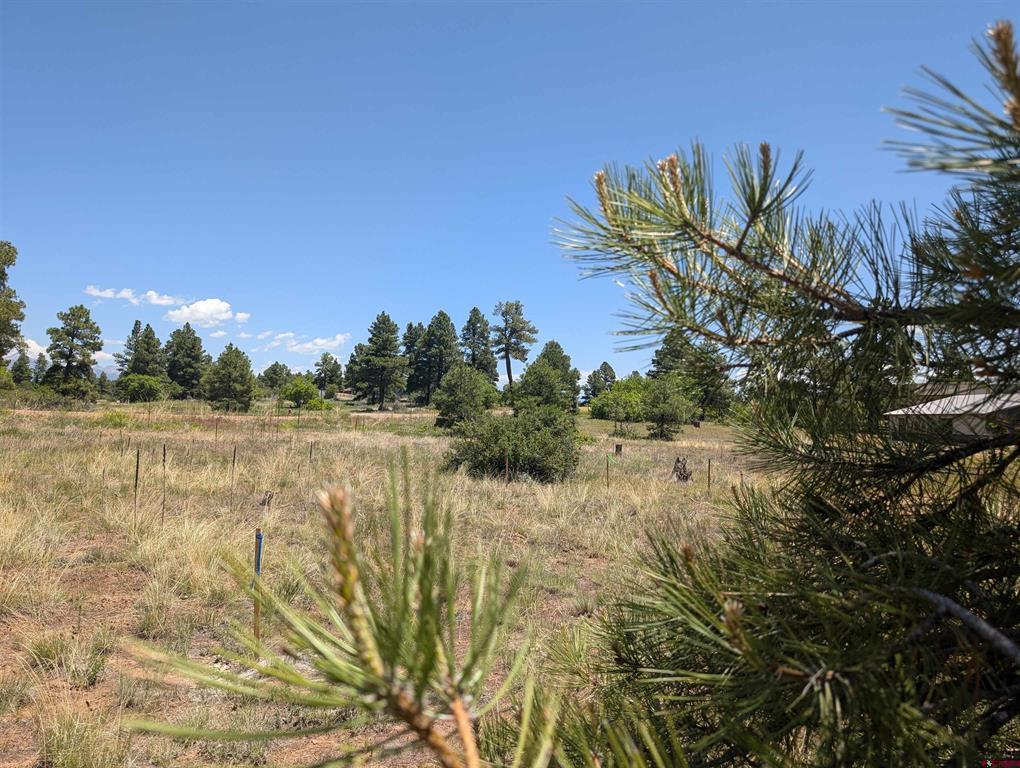 16 Mansions Circle Pagosa Springs CO 81147