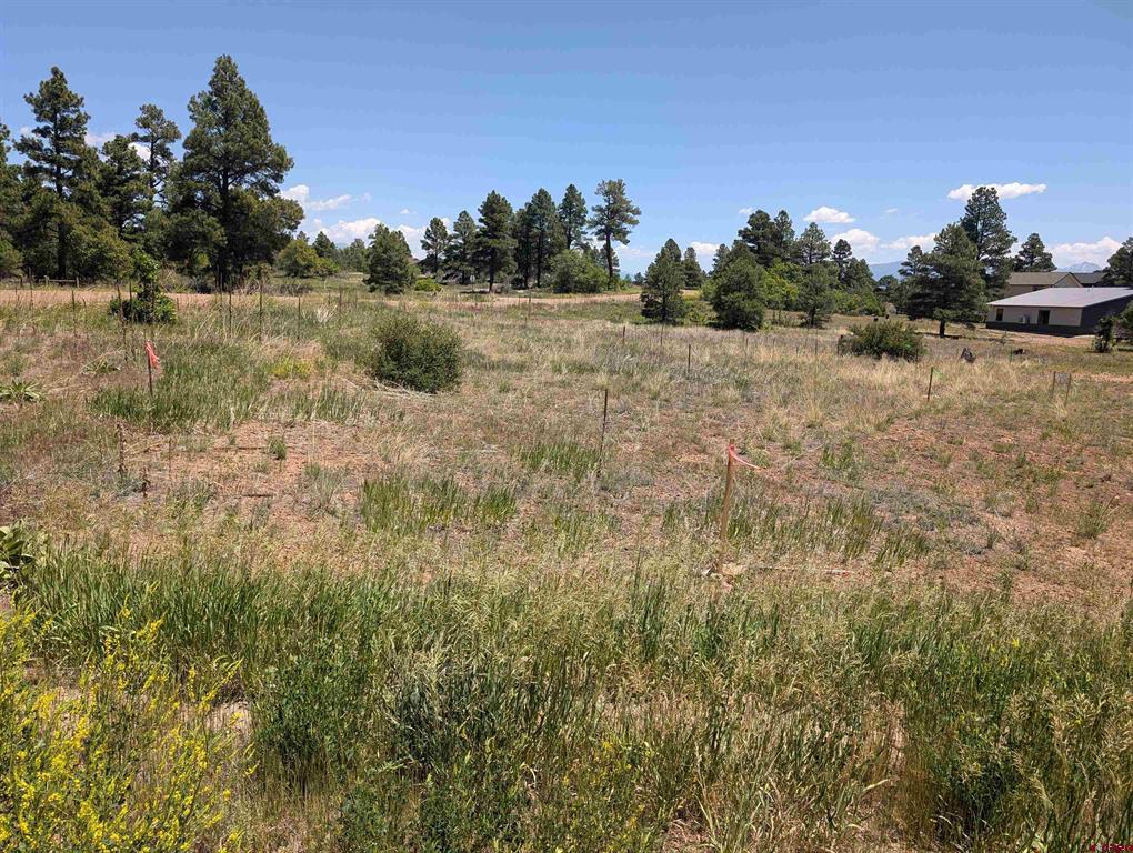 16 Mansions Circle Pagosa Springs CO 81147