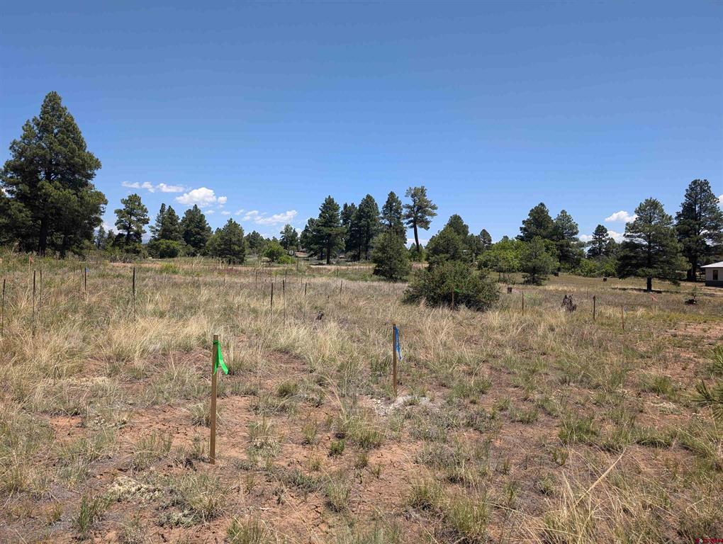 16 Mansions Circle Pagosa Springs CO 81147