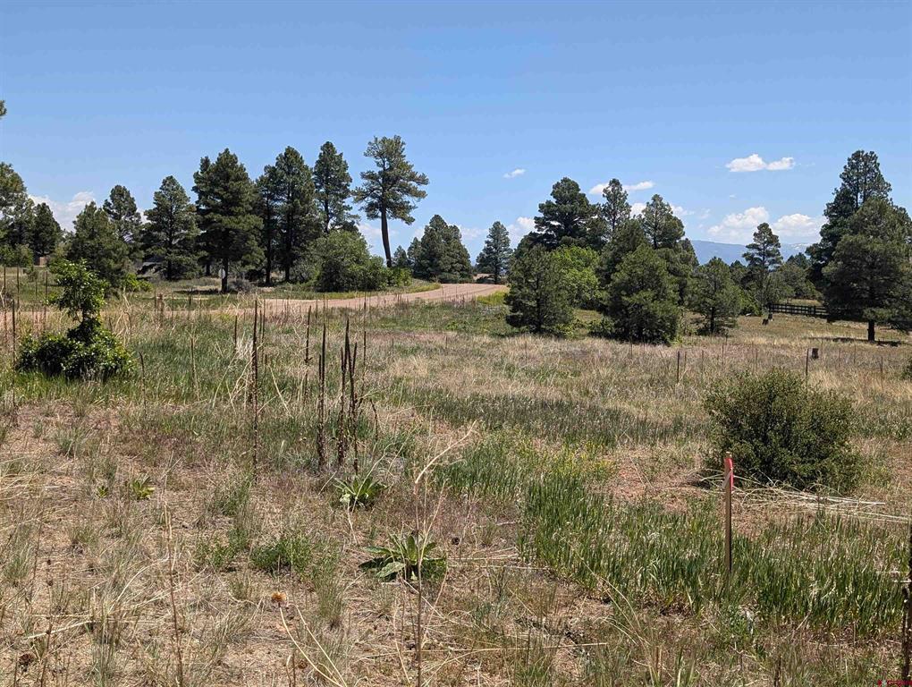 16 Mansions Circle Pagosa Springs CO 81147