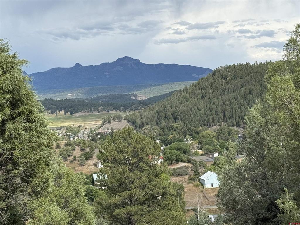 X N 8th Street Pagosa Springs CO 81147